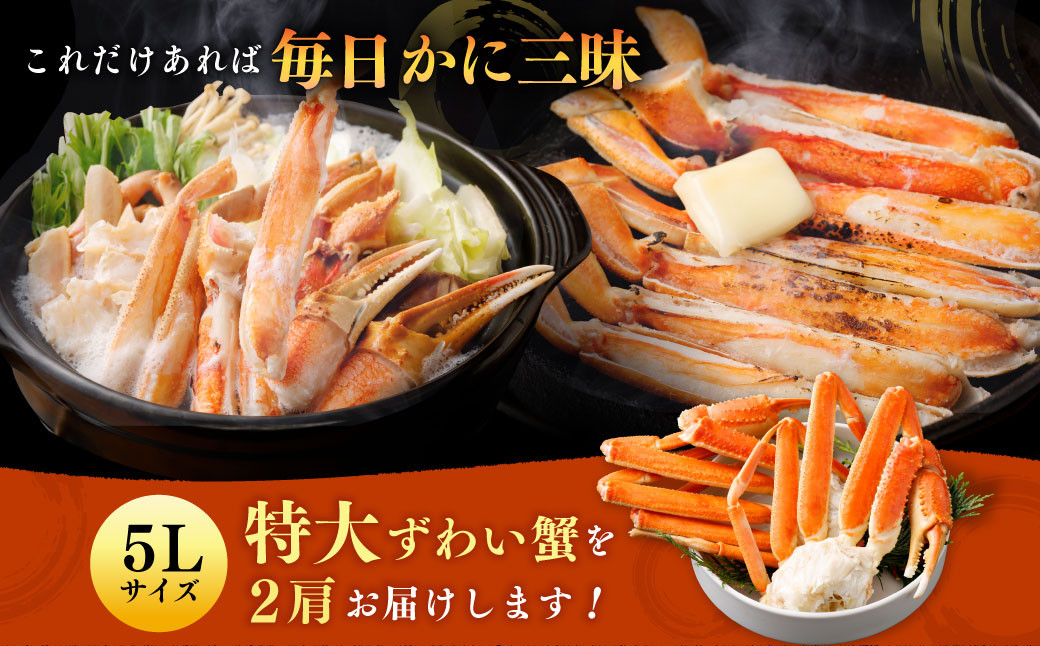 ボイル ズワイ蟹 特大サイズ 2肩 800g  ｜海鮮 カニ かに 蟹 ズワイガニ ずわい蟹 5Lサイズ 特大 ボイル 冷凍