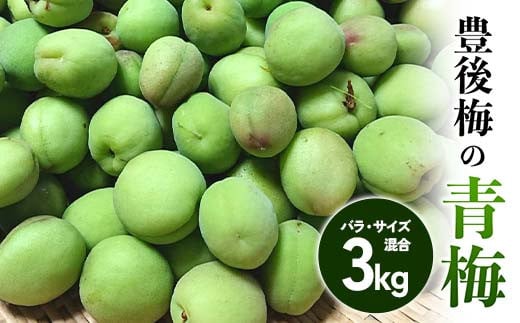 
            豊後梅の青梅 約3kg (バラ) ≪西塚農園≫ 梅 梅干し 梅酒 梅干 梅シロップ 梅ジャム 3キロ 数量限定 F21U-589
          