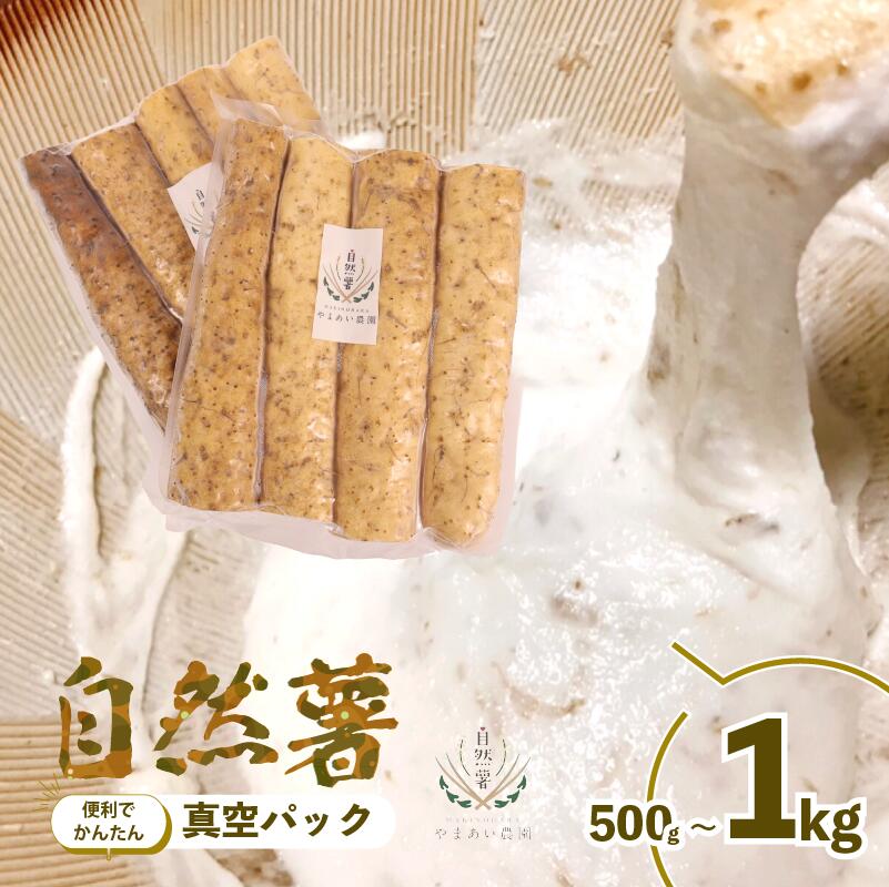 【ふるさと納税】 予約受付 500g 〜 1kg 自然薯 真空パック 使い切り 便利 じねんじょ 山芋 ヤマイモ 山いも とろろ とろろ汁 国産 とろろご飯 ご飯のお供 健康 栄養 美味しい おいしい 自宅用 家庭用 贈答用 ギフト ランキング ごはん ご飯 やまあい農園 静岡県 牧之原市