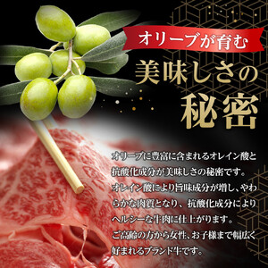 牛肉 オリーブ牛 モモスライス 500g（500g×1パック）【化粧箱入り】【配送不可：離島】