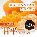 【ふるさと納税】【先行予約】【数量限定】田縁農園の甘平（かんぺい）2kg ｜ 柑橘 みかん ミカン フルーツ 果物 愛媛 ※離島への配送不可 ※2025年3月下旬～4月中旬頃に順次発送予定