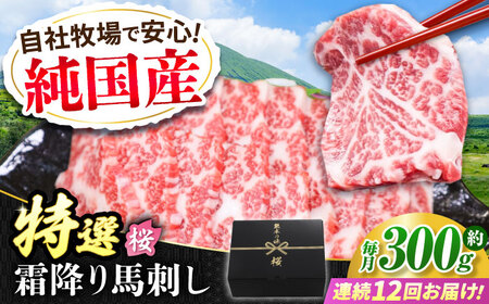 【全12回定期便】『純国産』熊本の味「桜」霜降り馬刺し「特選」 計約3.6kg（約300g×12回） 霜降り 馬刺し[AYCN018]