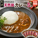 【ふるさと納税】トプカ☆みやざきジビエ天然猪カレー5食セット※ポスト投函 - カレー専門店トプカ 手づくりカレー いのしし肉 ジビエ 肉 20種類以上のスパイス 和風カレー 保存料・着色料 不使用 常温配送 送料無料 LD-J905 【宮崎県都城市は2年連続ふるさと納税日本一！】