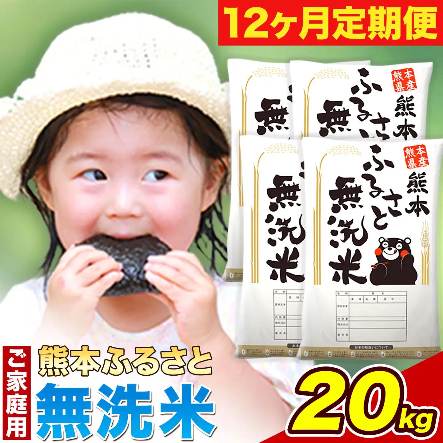 【12ヶ月定期便】熊本ふるさと無洗米 20kg 《お申込み翌月から出荷》
