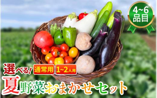 野菜 夏野菜 セット 4～6品目 1人～2人用 詰め合わせ 茄子 きゅうり ピーマン トマト ミニトマト 白茄子 オクラ 大葉 枝豆 ズッキーニ ししとう とうもろこし パプリカ じゃがいも たまねぎ にんじん サラダ カレー 野菜炒め 森商店 徳島県 吉野川市