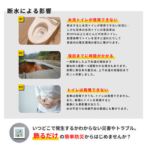 災害用トイレ アートトワレ 2個セット(ねこ・青と白) 非常用トイレ 防災グッズ