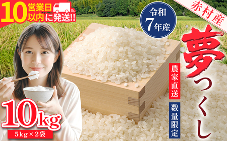 【10営業日以内に発送】赤村産米 農家直送 【数量限定】 精米 夢つくし 10kg 4U1-S