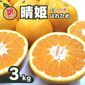訳あり 晴姫 はれひめ 3kg はれひめ 柑橘 訳あり美味しい柑橘 訳あり愛媛の柑橘 訳ありみかん  愛媛県 愛南町 みかん職人武田屋