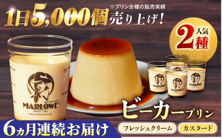【全6回定期便】葉山ビーカープリン　北海道 フレッシュクリームプリン（180g）とカスタードプリン（180g）×2個セット プリン 食べ比べ【マーロウ】 [AKAF057]