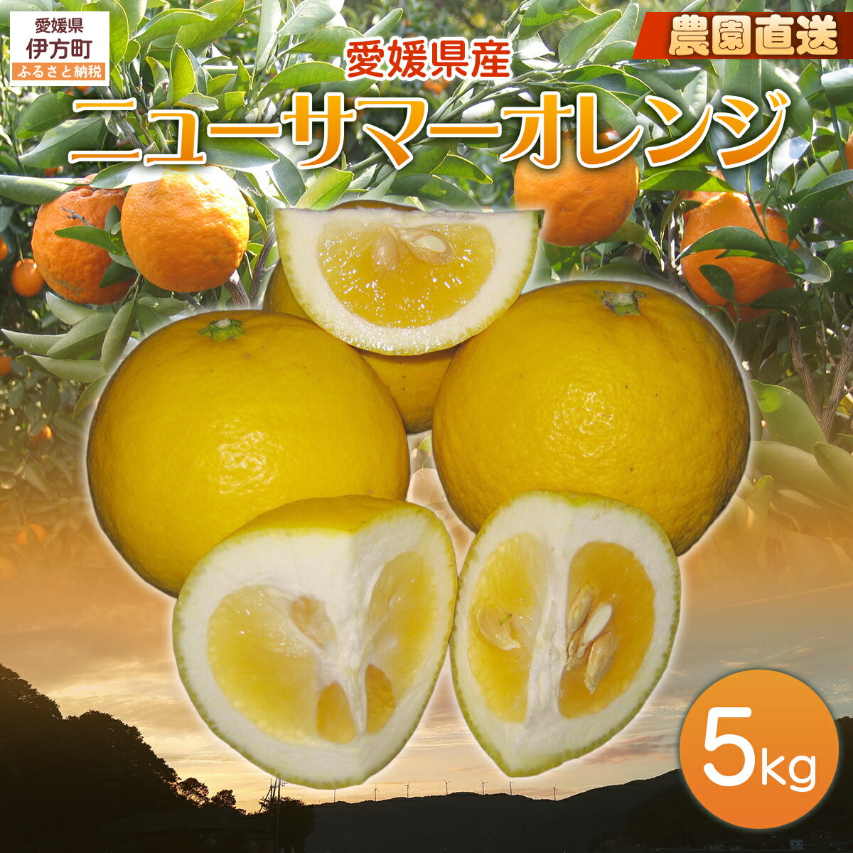 【ふるさと納税】【栽培期間中農薬不使用】【先行受付】【数量限定】農園直送！愛媛県産ニューサマーオレンジ 5kg （2026年3月下旬頃より順次発送） 【ふるさと納税 人気 おすすめ 柑橘 みかん オレンジ フルーツ 果物 ギフト 愛媛県 伊方町 送料無料】 IKTG009