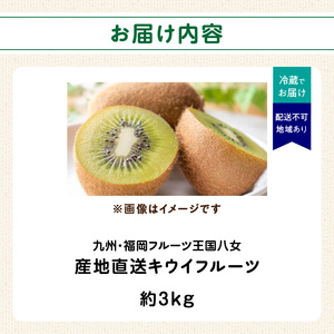 九州・福岡フルーツ王国八女 産地直送キウイフルーツ 約3.0kg【2025年12月発送開始】＜配送不可：北海道・沖縄・離島＞ フルーツ ヘイワード 産地直送 期間限定 福岡県 八女市 072-003