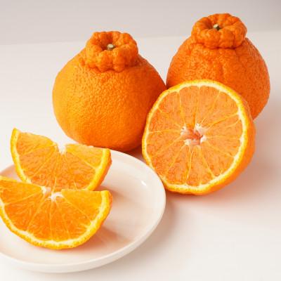 ふるさと納税 東かがわ市 【発送月固定定期便】東かがわ市 フルーツ定期便全9回 |  | 03