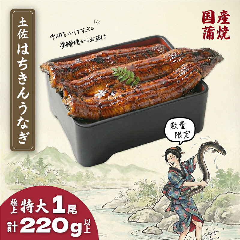【ふるさと納税】 限定 国産 鰻 特大 土佐はちきん うなぎ 蒲焼き 220g以上 | 蒲焼 無投薬 上 特上 肉厚 鰻 ウナギ かば焼き きざみ ひつまぶし めす 柔らかい ふっくら 極太 極上 生産者直送 限定 こだわり ギフト 冷凍 高知県 南国市