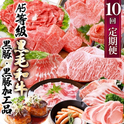 定期便(1年で10回配送)枕崎お楽しみ便(A5等級黒毛和牛・黒豚・黒豚加工品etc) II−6002【1166753】