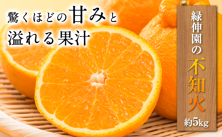 『緑伸園』の不知火・肥の豊 約5kg あのデコポンと同品種《12月中旬-1月下旬頃出荷》