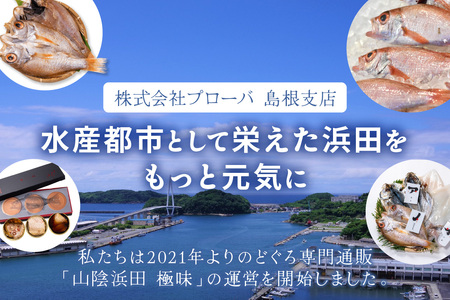 山陰浜田極味 のどぐろ一夜干し（特大）3枚入り のどぐろ 魚介類 干物 干もの 一夜干し 御中元 御歳暮 ギフト 新鮮 厳選 海鮮 セット 個包装 干物 【1456】