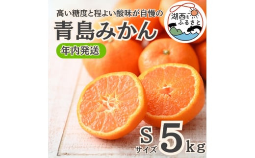 ＜年内発送＞＜12月中旬より順次出荷予定＞青島みかん約5kg Sサイズ〔鈴木農園〕【1510100】
