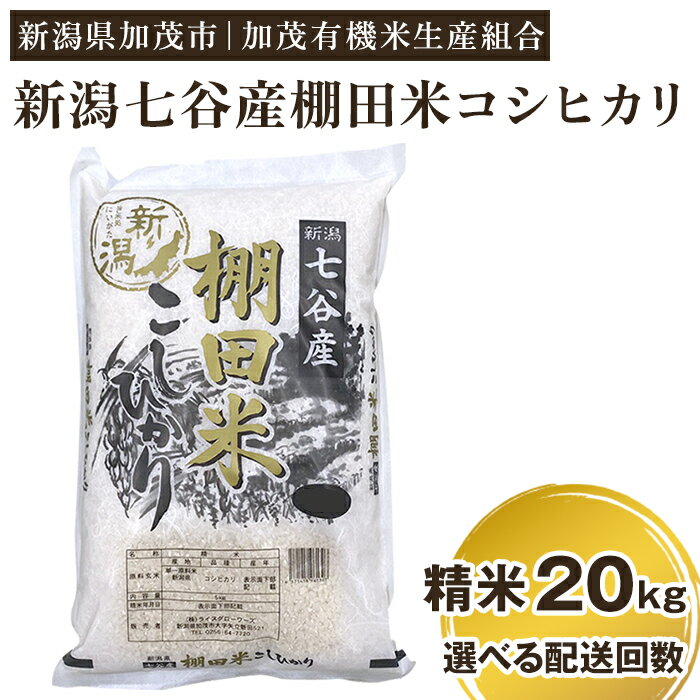 【ふるさと納税】【令和7年産新米先行予約】 新潟県加茂市 七谷産 棚田米コシヒカリ 精米20kg（5kg×4）選べる配送回数（通常配送1回〜定期便12回） 《10月中旬から順次出荷》 白米 加茂有機米生産組合
