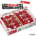 【ふるさと納税】【数量限定】新鮮大粒いちご！伊豆紅ほっぺ厳選（約400g×2パック） ／ イチゴ 苺 酸味 甘み コク 送料無料 静岡県 170831-02