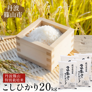 令和7年産 丹波篠山産 特Aランク特別栽培米 こしひかり 20kg 西の魚沼と呼ばれる 丹波篠山 コシヒカリ！白米【100％単一原料米】産地直送 贈答 おいしい お米 精米 コシヒカリ 米20 キロ ブランド おこめ 健康 お試し ギフト 内祝い 贈り物 | 兵庫県 丹波篠山市 