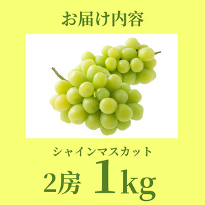 【6月中旬～8月中旬まで順次発送】シャインマスカット 1kg 2房 国産