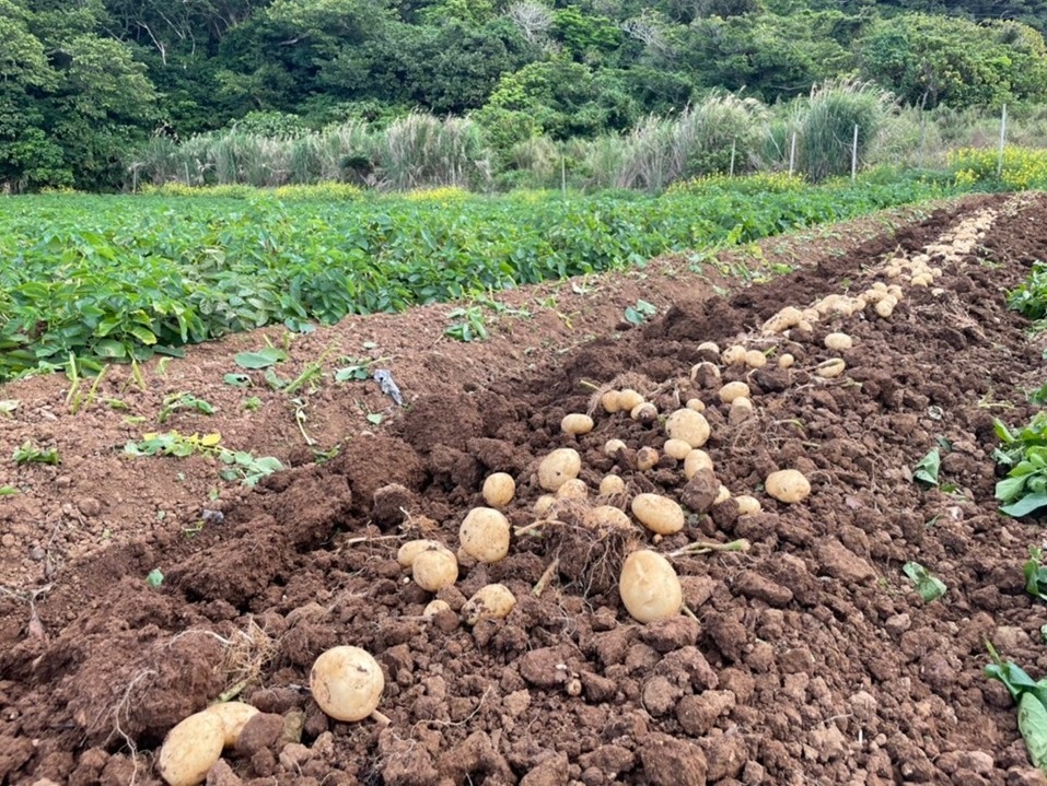 【2026年３月から発送】