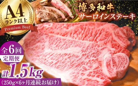 【全6回定期便】【A4ランク以上！】博多和牛 サーロインステーキ250g×1枚 牛肉 博多和牛 サーロイン ステーキ 肉 サーロインステーキ 博多 和牛 黒毛和牛 バーベキュー 広川町/株式会社MEAT PLUS [AFBO003]