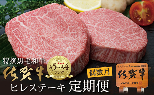 【定期便6回】佐賀牛 ヒレステーキ 340g×6回 偶数月発送 年6回 黒毛和牛 _g-11