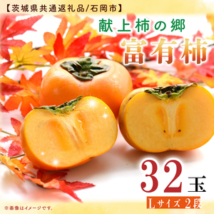 【11月中旬より発送】献上柿出荷組合の富有柿L 32玉【茨城県共通返礼品／石岡市】【柿 かき カキ フルーツ 果物 くだもの 八郷柿 ふるさと納税  水戸市 茨城県】（GP-2-3）