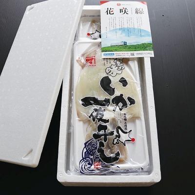 ふるさと納税 根室市 いか一夜干し1枚×10P B-32043 |  | 02