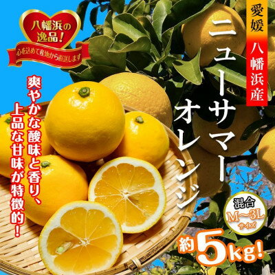 【ふるさと納税】2026年4月発送開始　さわやかな香りと上品な甘さ!「ニューサマーオレンジ」約5キロ【D39-83】【配送不可地域：離島】【1649781】