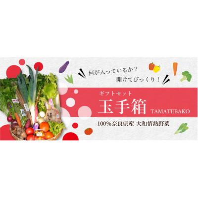 ふるさと納税 奈良県 大和情熱野菜　玉手箱 |  | 01