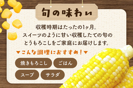 嶽きみ真空パック Lサイズ 20本 しらかみラボ