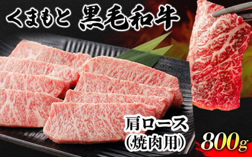 
くまもと黒毛和牛 肩ロース 焼肉用 800g 肉のみやべ 《90日以内に出荷予定(土日祝除く)》 焼肉 チンジャオロースー チャーハン
