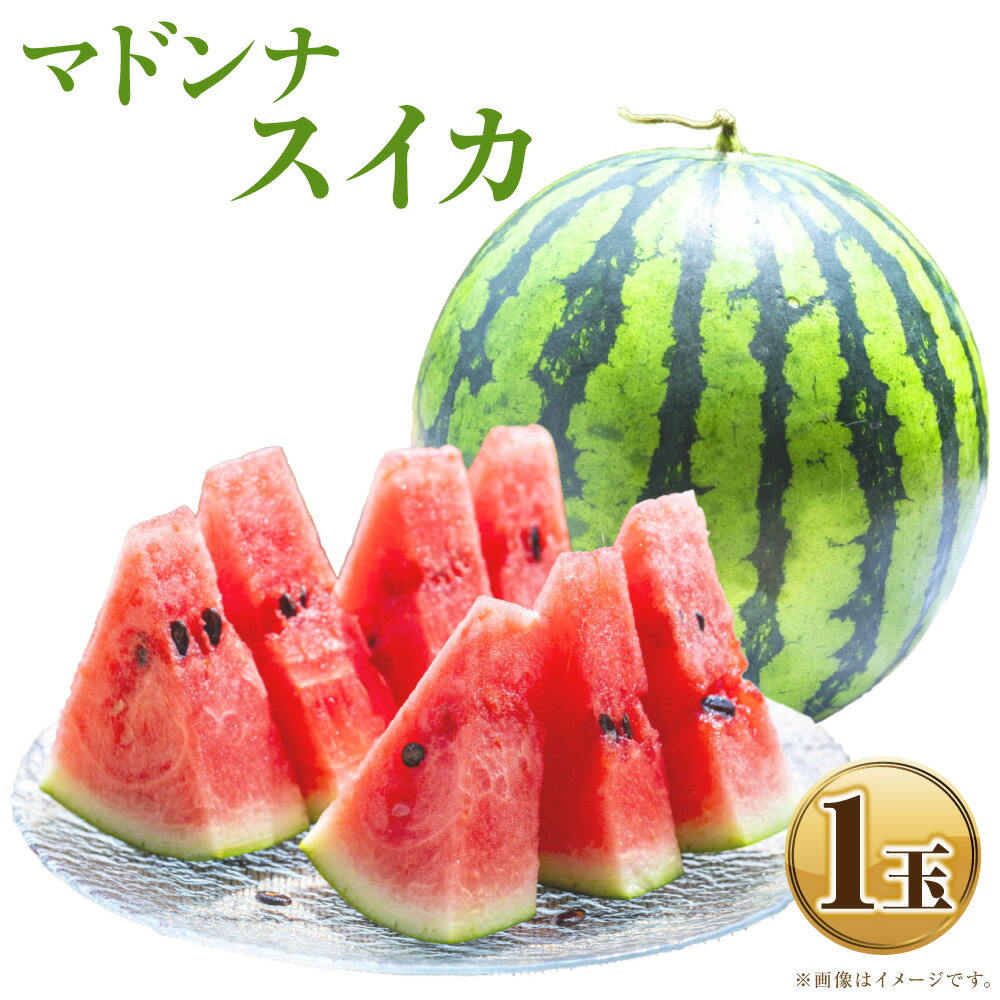 【ふるさと納税】マドンナスイカ 1玉 （2～3Lサイズ） くだもの 果物 果実 フルーツ 西瓜 スイカ 北海道 浦臼町 送料無料 【2026年7月上旬～2026年7月下旬発送予定】