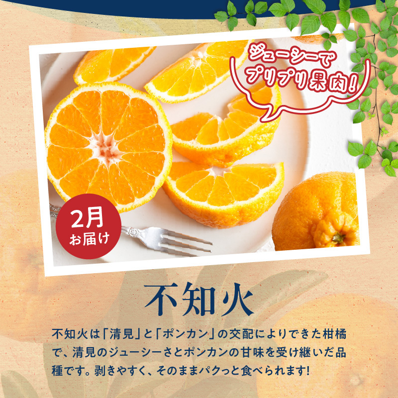 G60-T55_【定期便　偶数月6回】魚鶴商店堪能定期便_イメージ2
