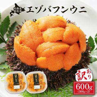 ≪規格外品600g≫無添加　エゾバフンウニ塩水パック600g 配送期間C：1月下旬～3月下旬迄　[mh-0248_C]