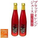 【ふるさと納税】ブラッドオレンジ 100%ジュース 530ml×2本 合計1.06リットル 国産 九州産 熊本産 無添加 柑橘 オレンジ フルーツ 果物 ジュース 100%果汁 送料無料