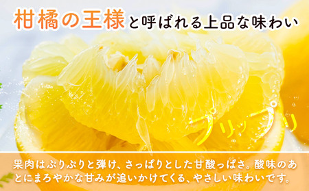 晩白柚 2玉 2Lサイズ ばんぺいゆ 熊本《12月上旬-1月末頃出荷》熊本県 氷川町 果物 フルーツ 熊本県産 晩白柚 ばんぺいゆ