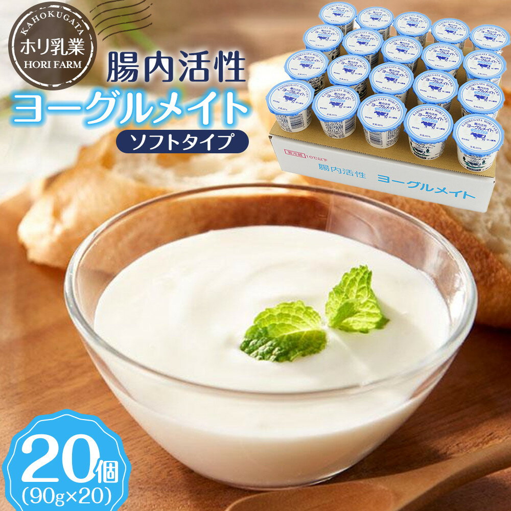 【ふるさと納税】【ホリ乳業】腸内活性 ヨーグルメイト ソフトタイプ 20個入 | 飲料類 乳飲料 ヨーグルト デザート 腸内活性 プロバイオティクス 乳酸菌 乳製品 腸活 発酵食品 乳飲料ミックス 健康志向 発酵デザート 人気 おすすめ 送料無料