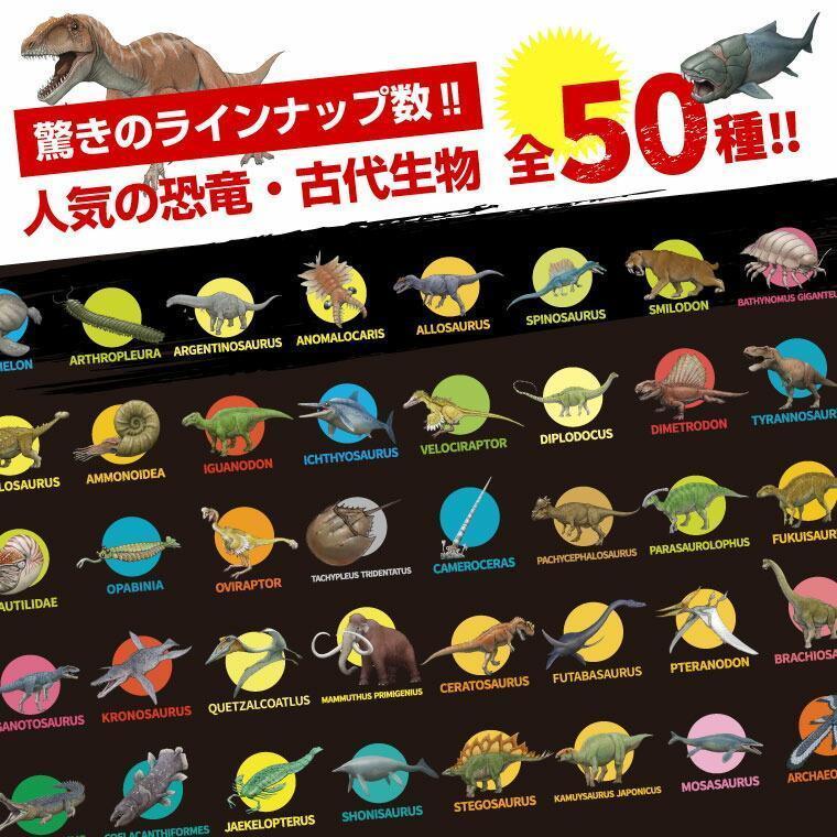恐竜・古代生物Tシャツ　アンモナイト　サイズXXXL（レギュラー）