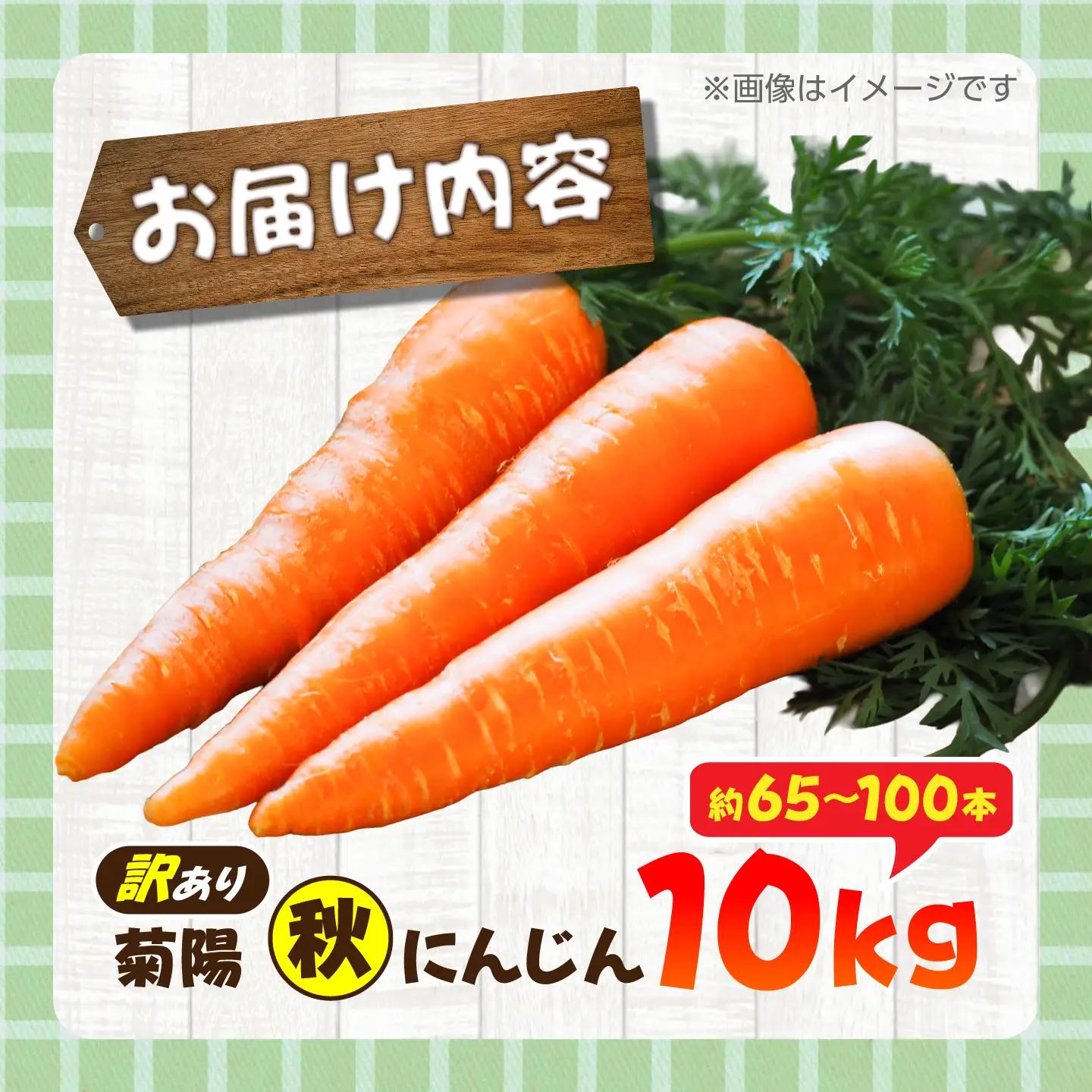 【先行予約】【12月中旬より順次発送】【訳あり】菊陽秋冬にんじん 約10kg (訳あり) / にんじん 菊陽にんじん 西洋にんじん ニンジン 人参 野菜 熊本 菊陽 わけあり 【マツモト：ファーム】[