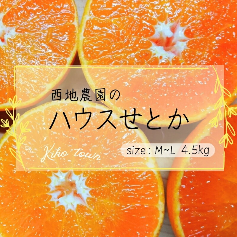 【ふるさと納税】 せとか 西地農園の ハウスせとか 4.5kg L〜Mサイズ 【2026年2月中旬から順次発送】 手選別 ハウスせとか みかん ミカン 蜜柑 柑橘 果物 くだもの フルーツ 予約 人気 ジューシー 甘い 産地直送 送料無料