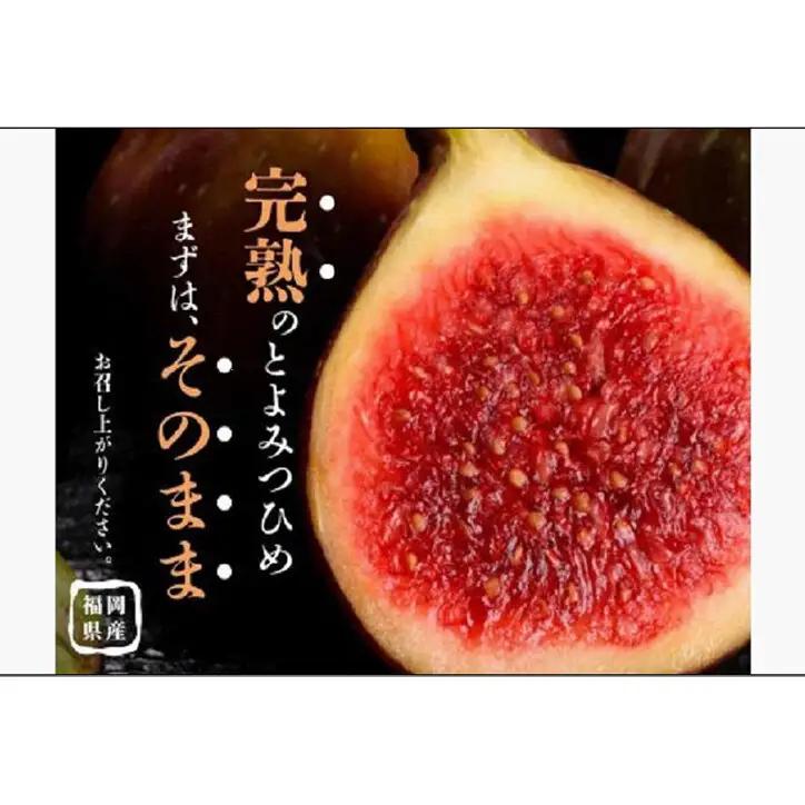 ＜2026年8月以降発送＞とよみつひめ ４パック約1200gセット（福岡市） | フルーツ 果物 くだもの 食品 人気 おすすめ 送料無料