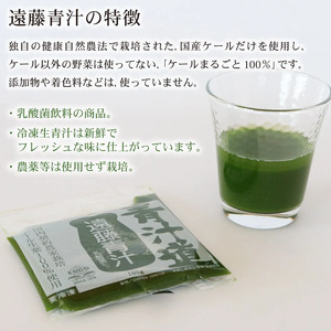 【12回定期便】【冷凍生】遠藤青汁4箱11.2kg(100g×112袋) 国産 ケール100%