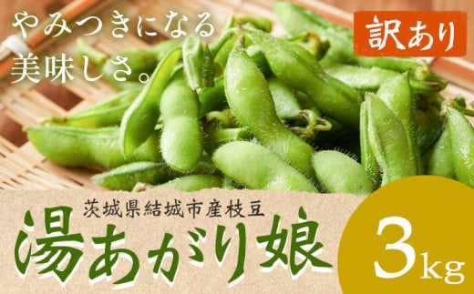 【先行予約・訳あり】 茨城県結城市産枝豆「湯あがり娘」3kg（茶豆味）　有限会社大嶋農園 《7月中旬-8月上旬頃出荷》 野菜 国産 甘み 香り 濃厚 つまみ ビールのおつまみ ビールのつまみ 【配送不可地域あり】