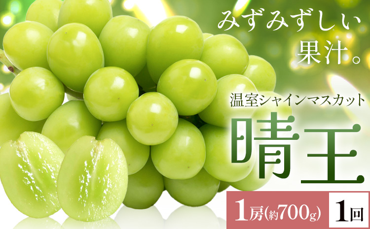 【2026年発送先行予約】シャインマスカット 温室 晴王 1房(約700g) 1回お届け シャイン マスカット《2026年7月中旬-8月中旬頃出荷》晴レ乃青果　(岡山中央卸売市場店(富士紙工 有限会社)) 送料無料 岡山県 浅口市 フルーツ 果物 岡山県産【配送不可地域あり】