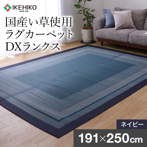 ＤＸランクス（191×250）（色：ネイビー）　AA157