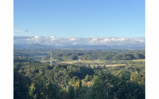 特Ａ地区三木市吉川町の限定区域字中堂産山田錦全量使用の純米大吟醸 磨き３５ “吟米”袋吊り滓がらみ無濾過生原酒 720ml