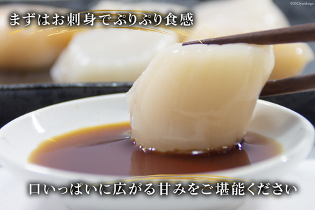 ホタテ 極粒 帆立貝柱 冷凍 （約500g/10粒前後) 